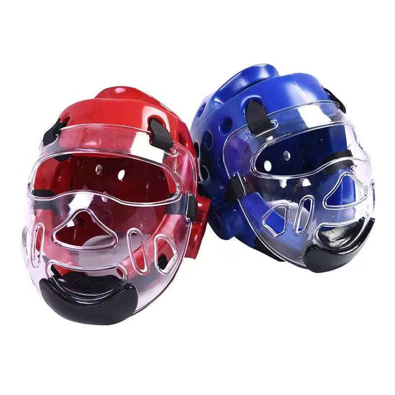 head gaurd with face mask